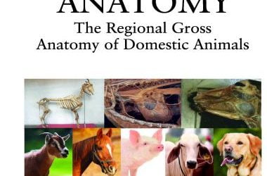 Veterinary anatomy, the regional gross anatomy of domestic animals