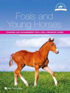 Foals and young horses, training and management for a well behaved horse
