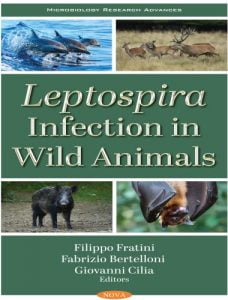 Leptospira infection in wild animals