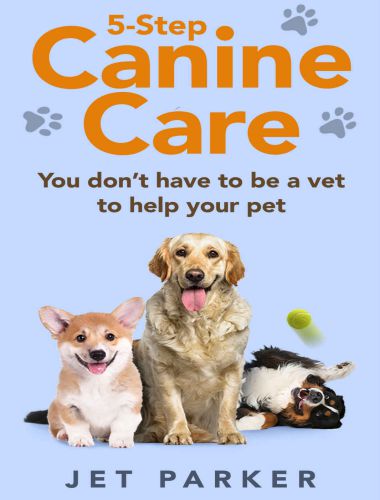 5 step canine care, you dont have to be a vet to help your pet