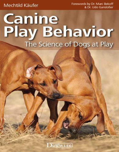 Canine play behavior the science of dogs at play