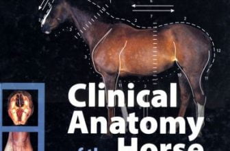 Clinical anatomy of the horse 1st edition