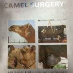 A guide book of camel surgery 1