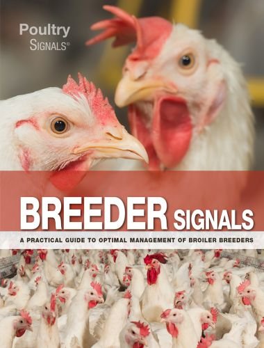 Breeder signals, a practical guide to optimal management of broiler breeders