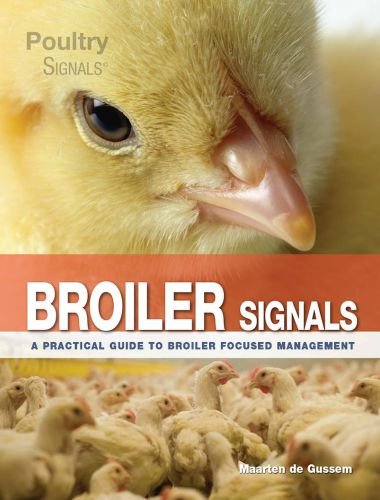 Broiler signals, a practical guide to broiler focused management