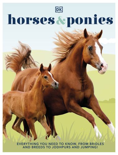 Horses and ponies everything you need to know, from bridles and breeds to jodhpurs and jumping