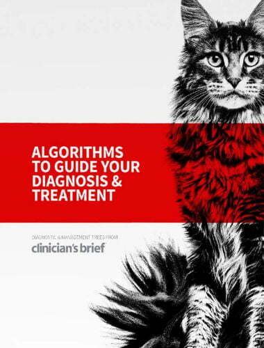 Clinician’s Brief Algorithms to Guide Your Diagnosis and Treatment