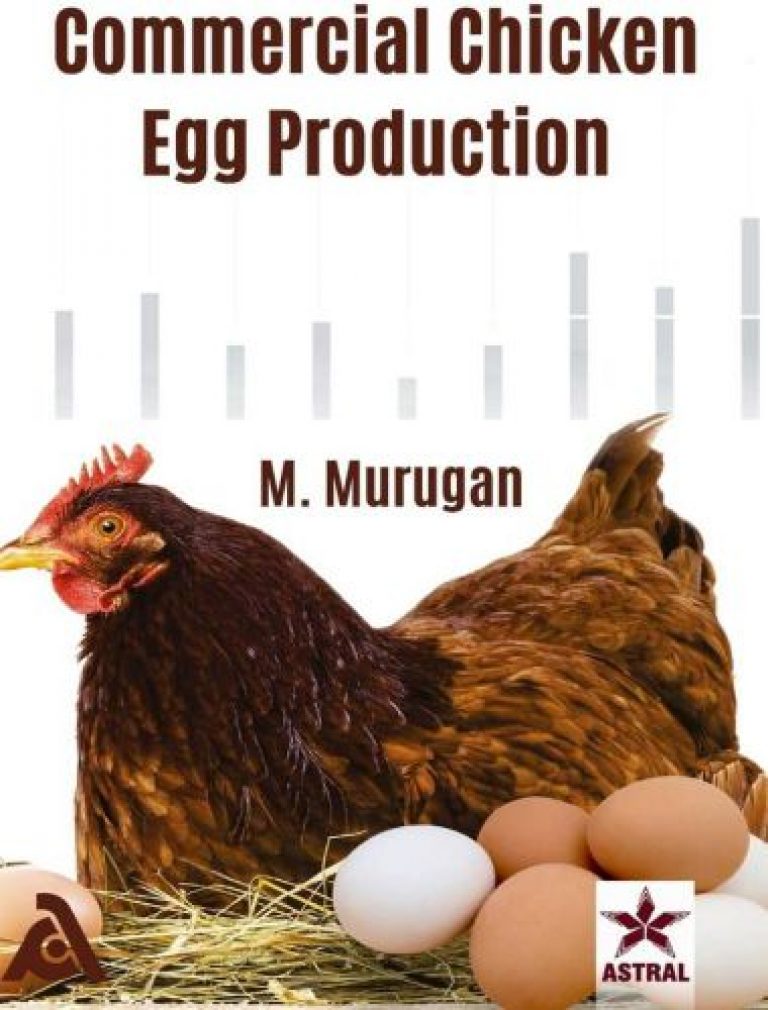 Commercial Chicken Egg Production