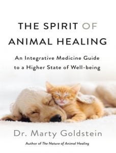 The spirit of animal healing an integrative medicine guide to a higher state of well being