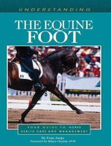 Understanding the equine foot