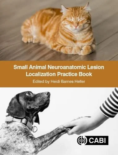 Small animal neuroanatomic lesion localization practice book