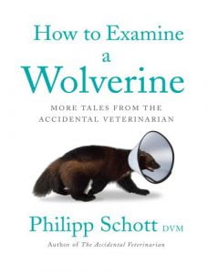 How to examine a wolverine more tales from the accidental veterinarian