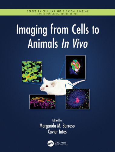 Imaging from cells to animals in vivo