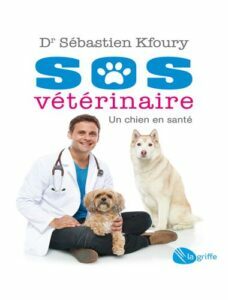 Sos vétérinaire un chien en santé