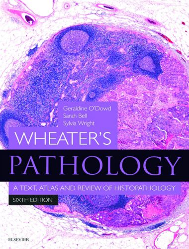 Wheater’s pathology a text, atlas and review of histopathology
