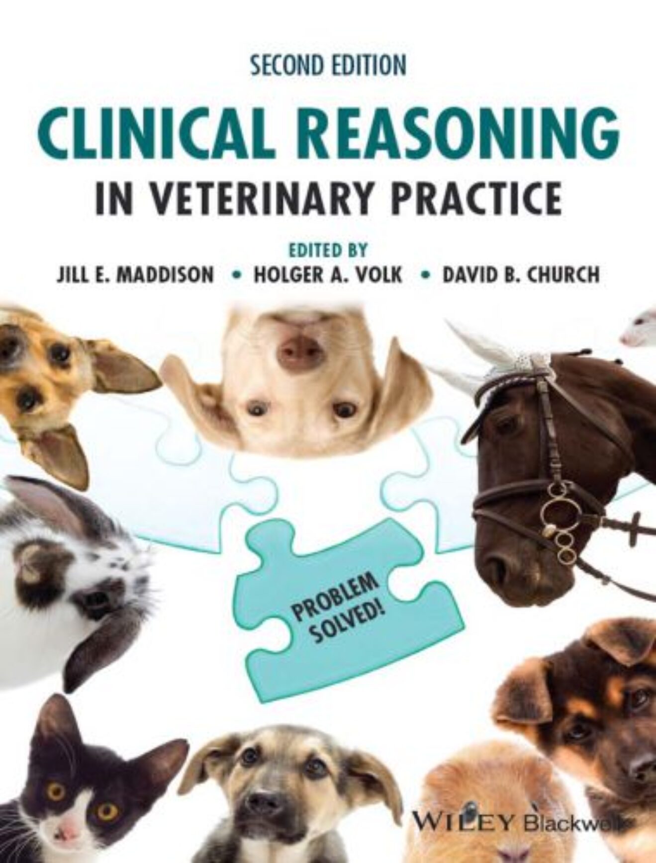 problem solving skills in veterinary medicine