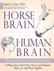 Horse brain, human brain the neuroscience of horsemanship