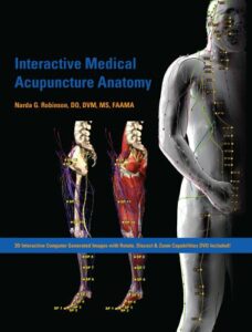 Interactive medical acupuncture anatomy pdf