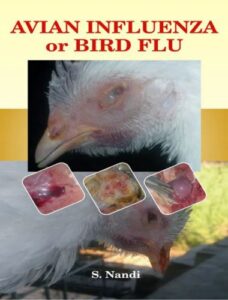 Avian influenza or bird flu