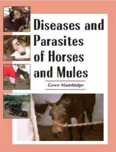 Diseases and parasites of horses and mules