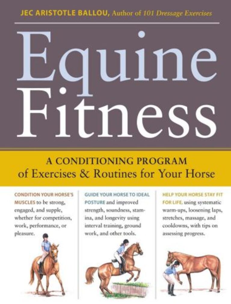 Equine fitness a program of exercises and routines for your horse