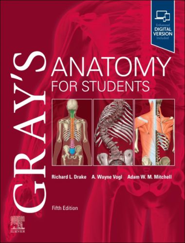 Grays anatomy for students e book 5th edition pdf