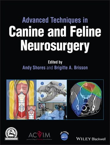 Advanced techniques in canine and feline neurosurgery