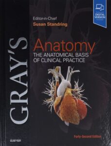 Grays anatomy the anatomical basis of clinical practice 42th edition