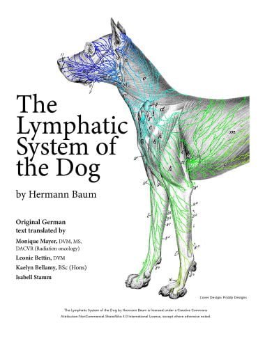 The lymphatic system of the dog page