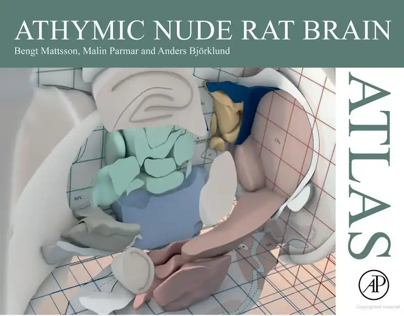 Athymic nude rat brain atlas