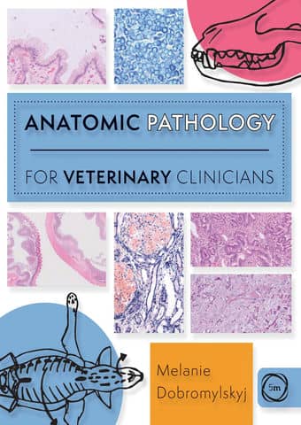 Anatomic pathology for veterinary clinicians