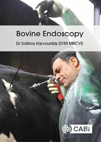 Bovine endoscopy