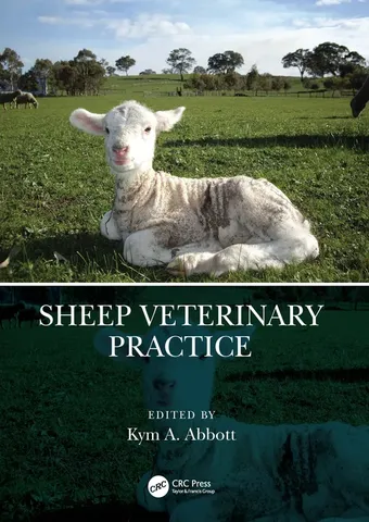 Sheep veterinary practice