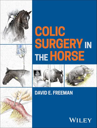 Colic surgery in the horse