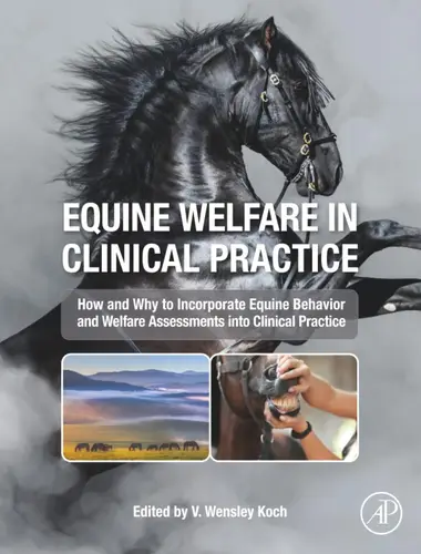 Equine welfare in clinical practice
